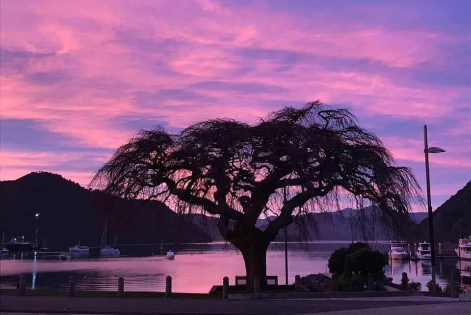 Piwaka Lodge Picton Εξωτερικό φωτογραφία